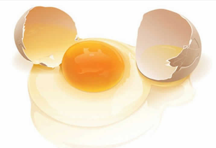 日本以蛋清为原料，研